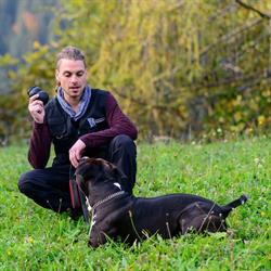 Wolfgang Zecha - Hundetraining und Coaching für Menschen