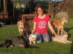 HundeTEAMSchule Nicole Roncat