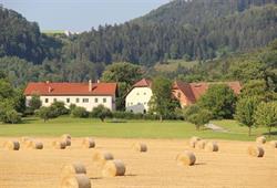 Gut Pichlhof