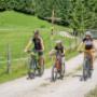 Aparthotel Dachsteinresort **** in 5442 Rußbach am Paß Gschütt Aparthotel Dachsteinresort **** in 5442 Rußbach am Paß Gschütt