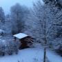 Immobilien Schober