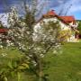 Immobilien Schober