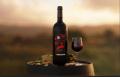 Vinum Arte by Home Art Austria