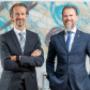Law Experts
