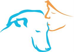 DOGTime - Hundetraining das verbindet
