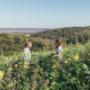 Urlaub in der Tourismusregion Jennersdorf