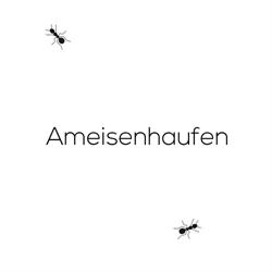 Webdesign Wien - AMEISENHAUFEN GmbH