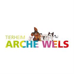Arche Wels