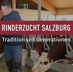 Rinderzucht Salzburg