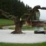 Gartenbau Stolzlederer - Schwimmteich Gutau Gartenbau Stolzlederer - Schwimmteich Gutau