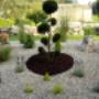 Gartenbau Stolzlederer - Kiesbeet mit Bonsai Gartenbau Stolzlederer - Kiesbeet mit Bonsai