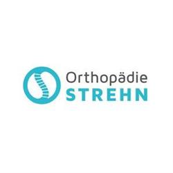 Dr. Lucie Strehn