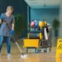 ÖWD cleaning services GmbH & Co KG
