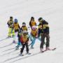 Alpin Schischule Neustift Alpin Schischule Neustift