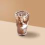 Chocolate Coco Shake