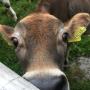 # 16