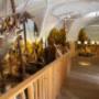 Natur auf der Spur Museum