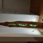 Glas Holz Skulptur II