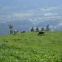 Dünser Älpele 6822 Dünserberg Dünser Älpele 6822 Dünserberg