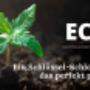 Cbd Regional