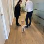 EDELWEISS Digital_Standort Seiersberg_Hunde erlaubt