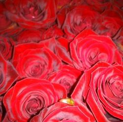 Blumenboutique Renate
