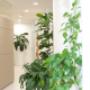 Gesundheitszentrum Arbor Vitae in 8063 Eggersdorf bei Graz - Innenansicht Gesundheitszentrum Arbor Vitae in 8063 Eggersdorf bei Graz - Innenansicht