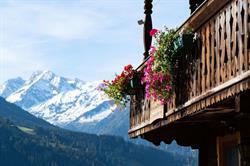 Pension Rieder