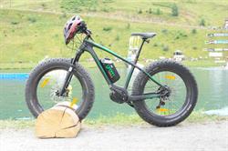 The Bike