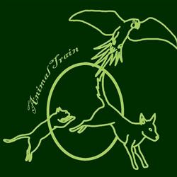 Hundeschule Animal Train - Mag. Sarah Lehner, BSc