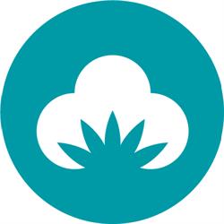 MerchCamp