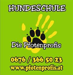 Hundeschule - Die Pfotenprofis