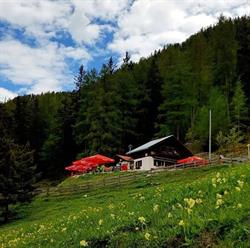 Kreither Alm