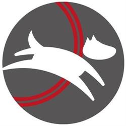 Hundesporthalle Dog-Motion