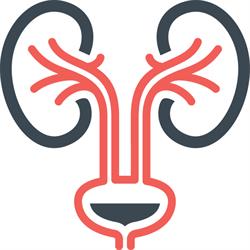 Urologe in Wien, Dr. med. Markus Riedl, FEBU