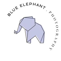 Blue Elephant Photography