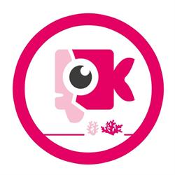 PINKFiSH Creatives