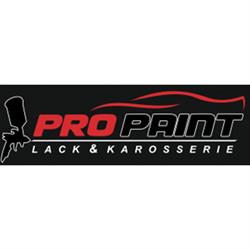Pro Paint