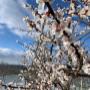 # 263