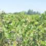 # 59