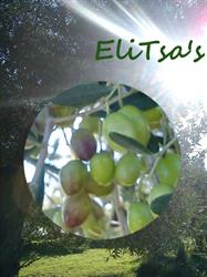 EliTsa e.U.