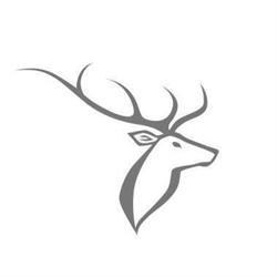 hirschen dornbirn das boutiquestyle hotel
