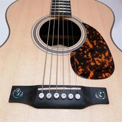 Benjamin Bachler (Ben's Guitar Shop)