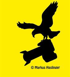 Markus Haslinger