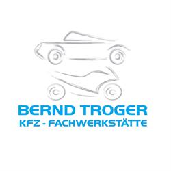 Bernd Troger