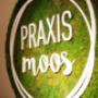 Physiotherapie Moos