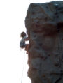 mobile Kletterwand mieten in drei verschiedenen Größen mobile Kletterwand mieten in drei verschiedenen Größen