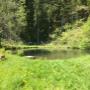 Unsere Hundepension, Abkühlungsmöglichkeit in unserem Teich