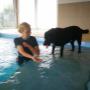 Hundepension, Hundeschwimmen