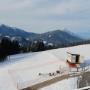 Riedlhof Leogang_Ziegen